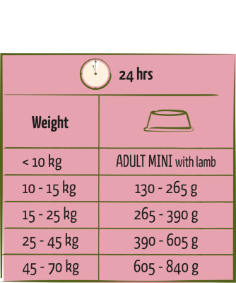 Happy Life Adult Lamb - Változatos kutyaeledel bárány ízesítéssel – élénk felnőtt kutyáknak 12,5 kg