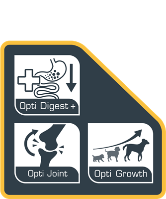 Opti Life  Puppy Medium - Kiegyensúlyozott kölyökkutyatáp - csirkés izű - közepes méretű kutyáknak - 2.5 kg