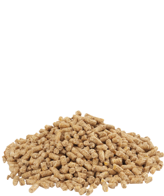 Country's Best DINDO 2.1 pellet nevelő pulykatáp 4 - 8 hetes korig - kokcidiosztatikummal 20kg