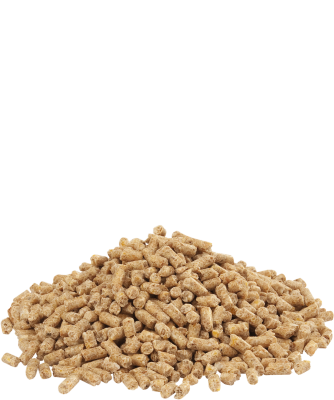 Country's Best DINDO 2.2 pellet 9 - 12 hetes korig - nevelő pulykatáp - kokcidiosztatikummal - 20kg