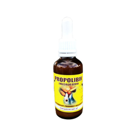 Patron Propolibik Immunerősítő és Légúttisztító – 50ml